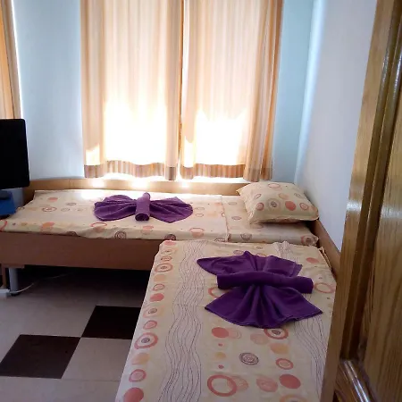 семеен бостън Ravda