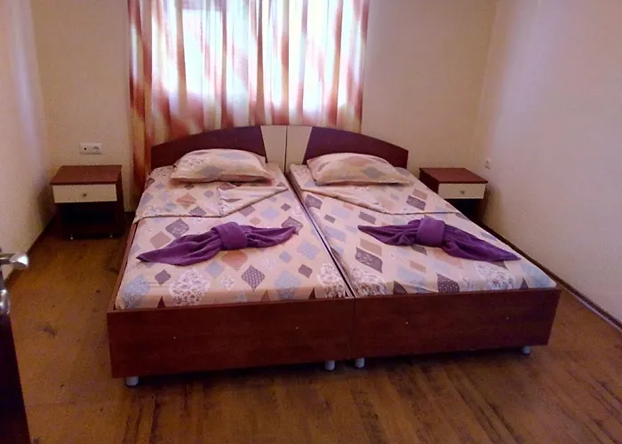 семеен бостън ラヴダ